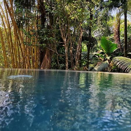 A Peace In Paradise Анс-Руаяль Экстерьер фото